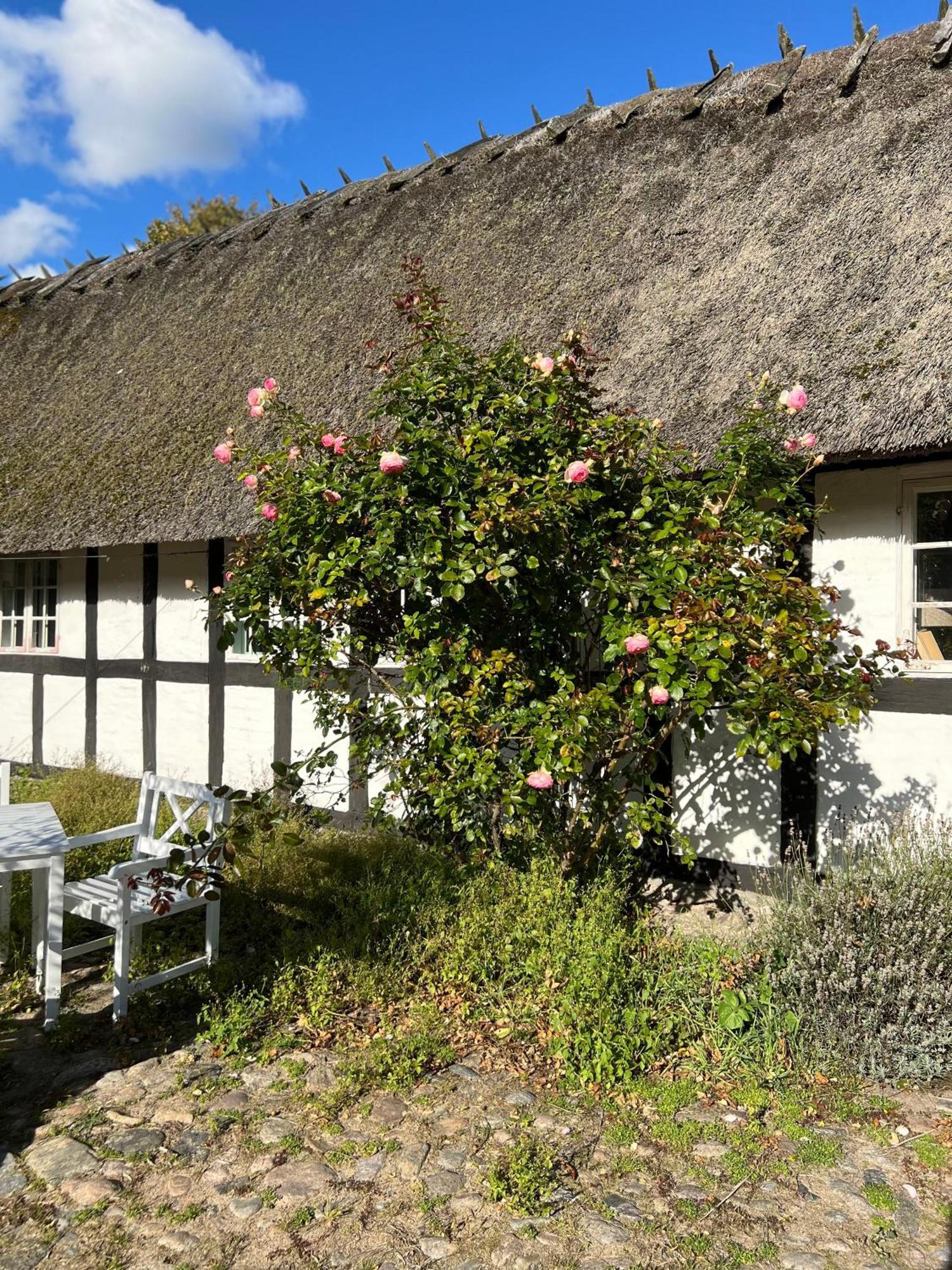 Solbjerggaard Bed & Breakfast 福堡 外观 照片