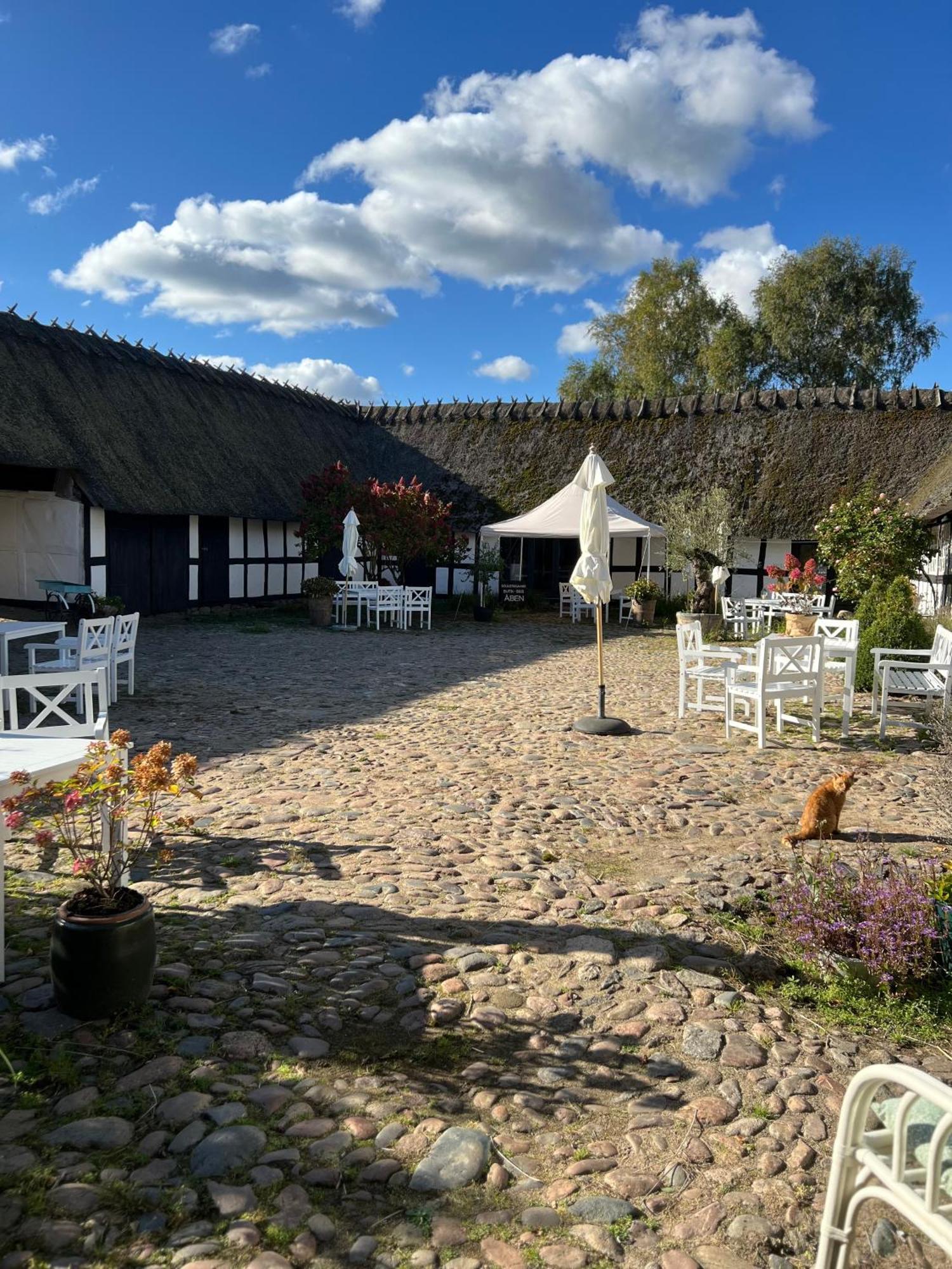 Solbjerggaard Bed & Breakfast 福堡 外观 照片