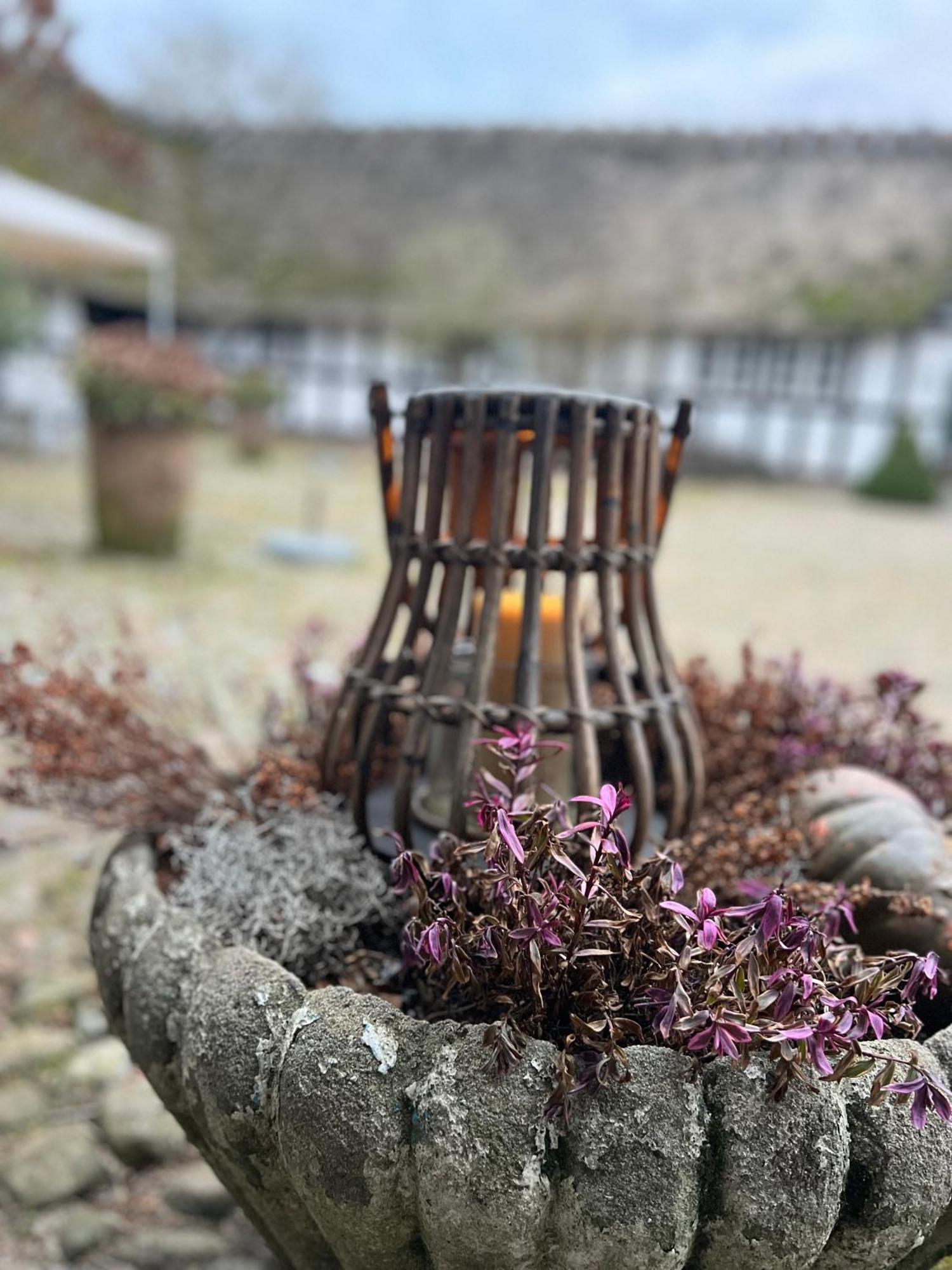 Solbjerggaard Bed & Breakfast 福堡 外观 照片