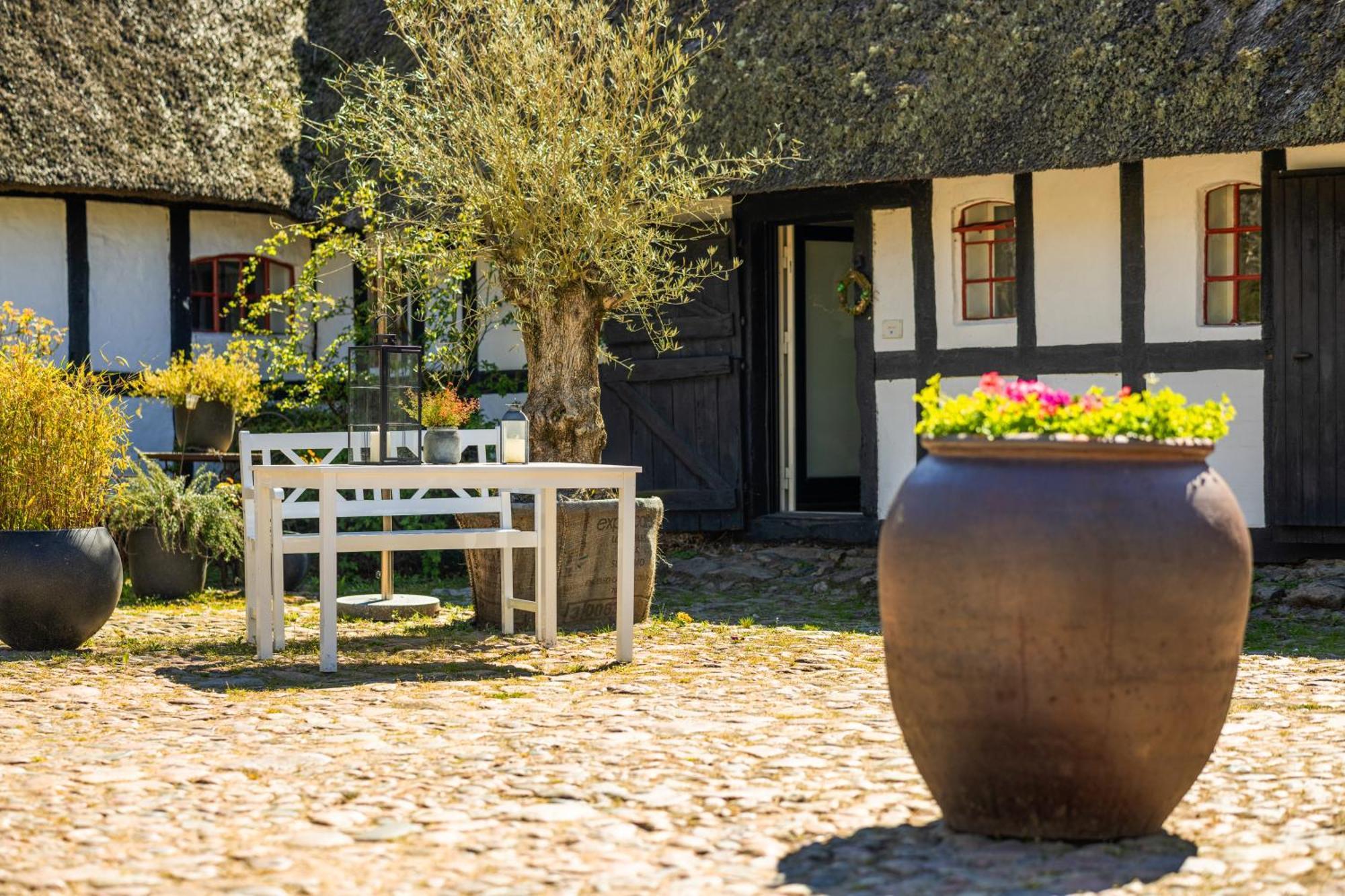 Solbjerggaard Bed & Breakfast 福堡 外观 照片